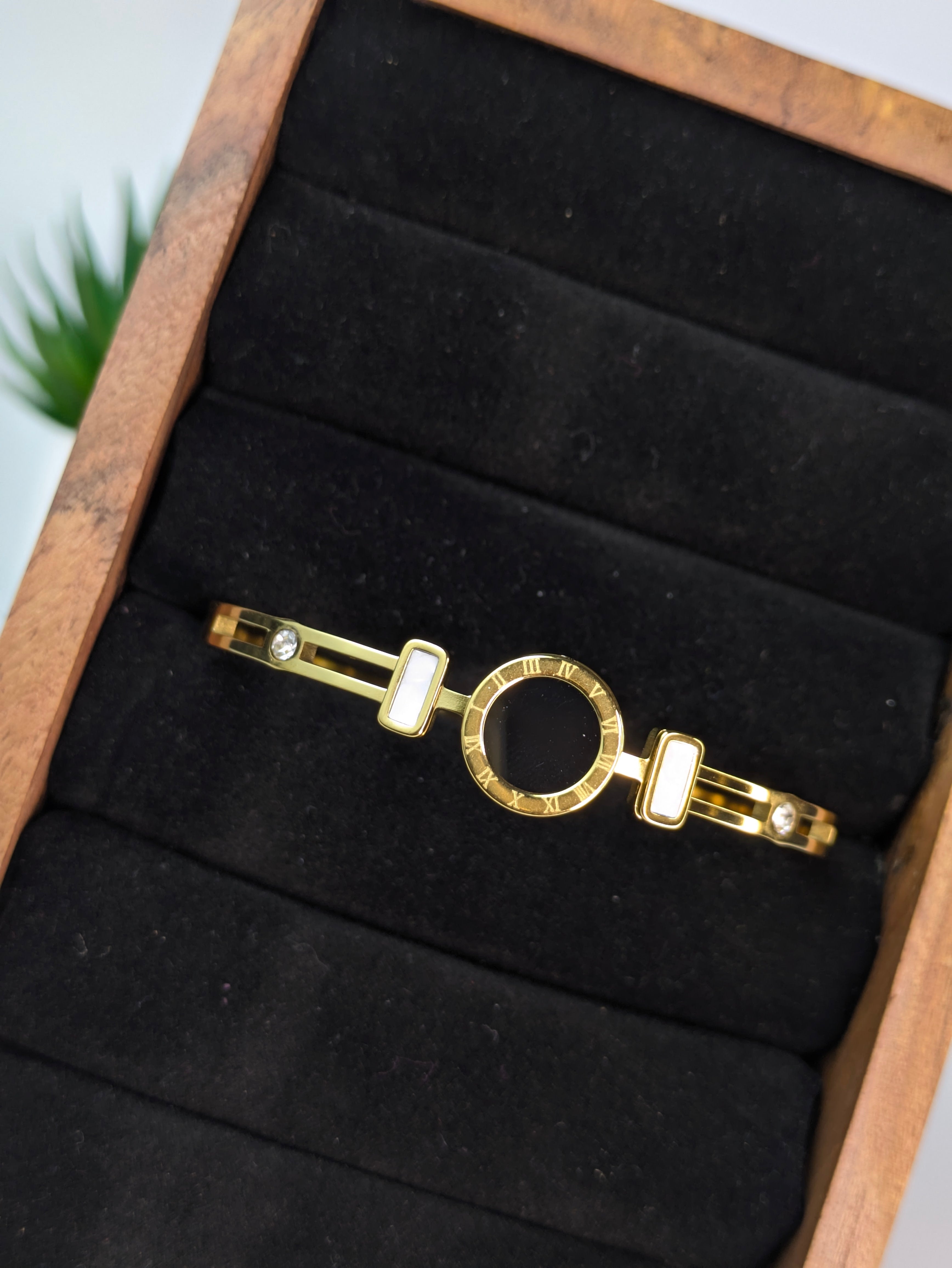 Watch Bangle